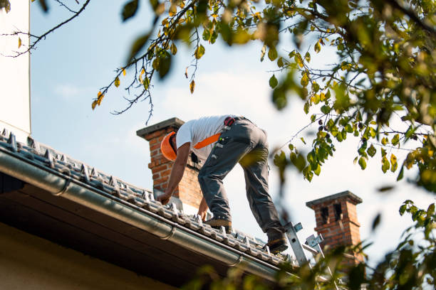 Best Roof Waterproofing Services  in Marseles, IL